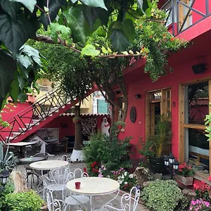 Red Goat , Tirana Albania