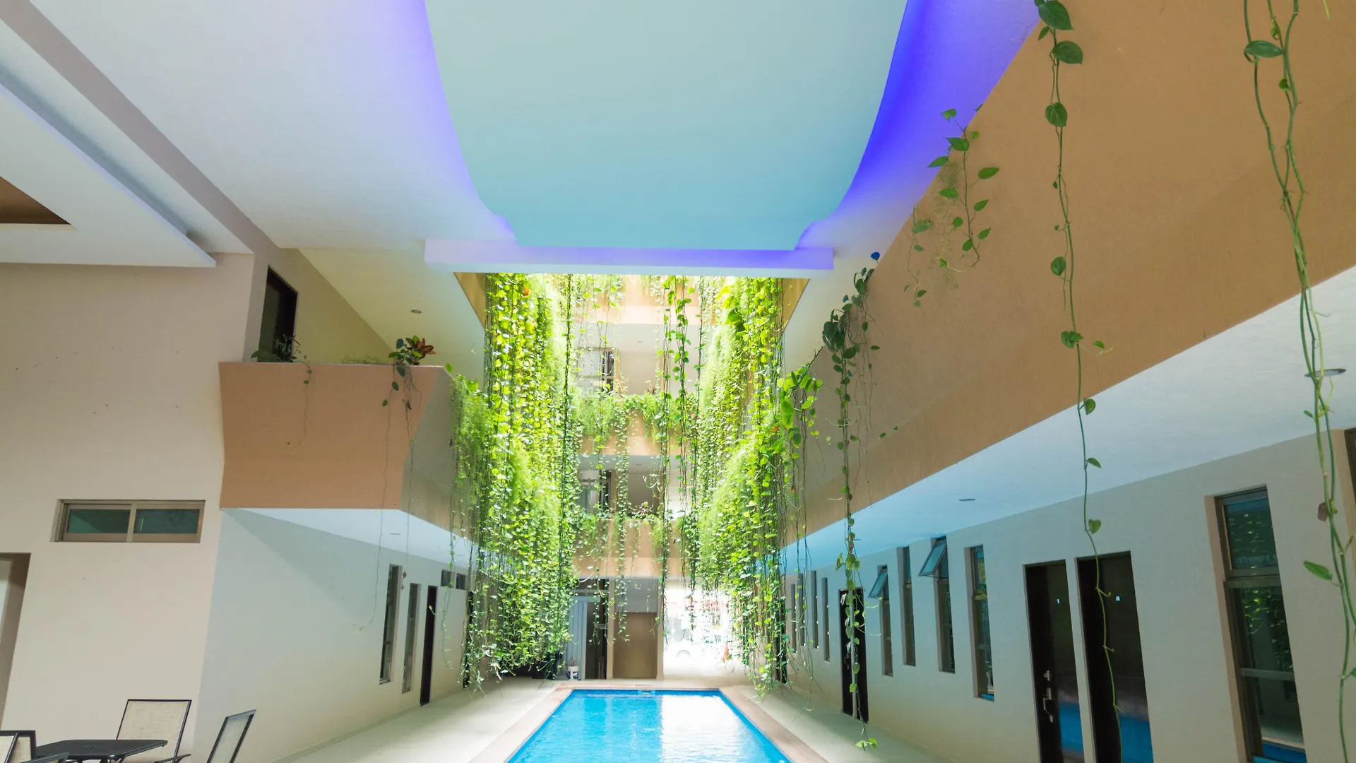 Hotel Palmarena Rooms & Residences - Long Stay Comfort With Parking, Sauna, Gym & Pool - Steps From 5Th Avenue Playa del Carmen