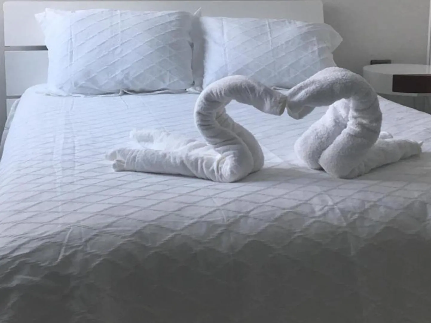 Palmarena Rooms & Residences - Long Stay Comfort With Parking, Sauna, Gym & Pool - Steps From 5Th Avenue Playa del Carmen