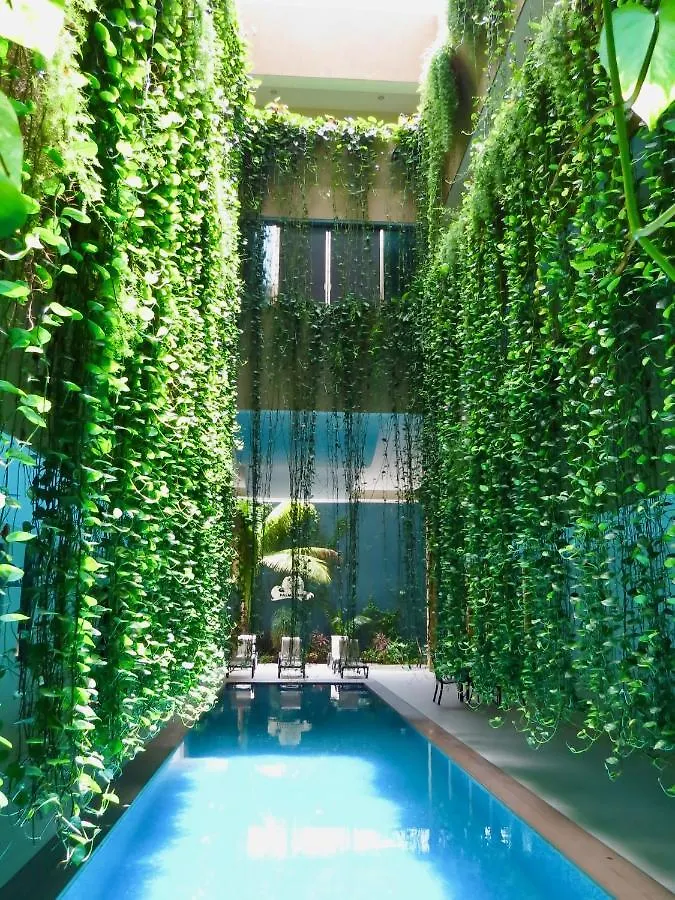 Hotel Palmarena Rooms & Residences - Long Stay Comfort With Parking, Sauna, Gym & Pool - Steps From 5Th Avenue Playa del Carmen